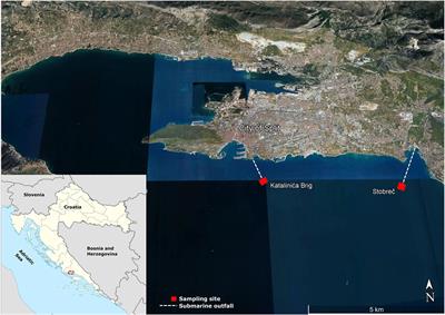 Submarine Outfalls of Treated Wastewater Effluents are Sources of Extensively- and Multidrug-Resistant KPC- and OXA-48-Producing Enterobacteriaceae in Coastal Marine Environment